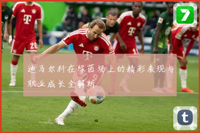 迪马尔科在绿茵场上的精彩表现与职业成长全解析