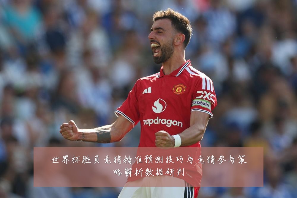 世界杯胜负竞猜精准预测技巧与竞猜参与策略解析数据研判